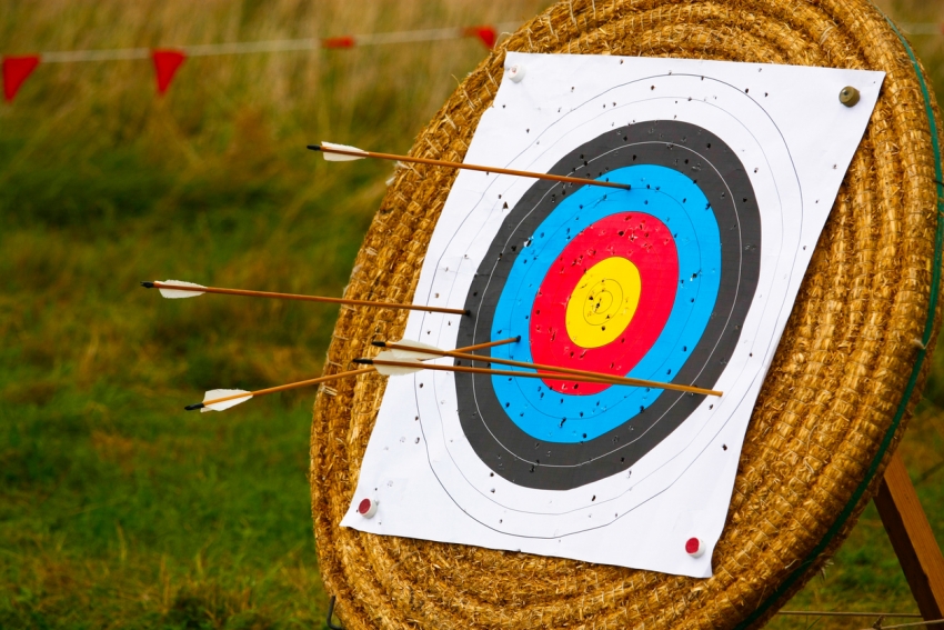 macro shot of arrows in a straw target
